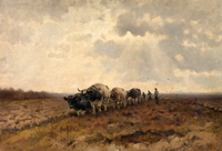 Oxen Ploughing